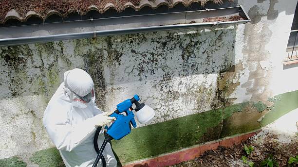Top rated local Mold Inspection And Testing specialists in Sparta, TN
